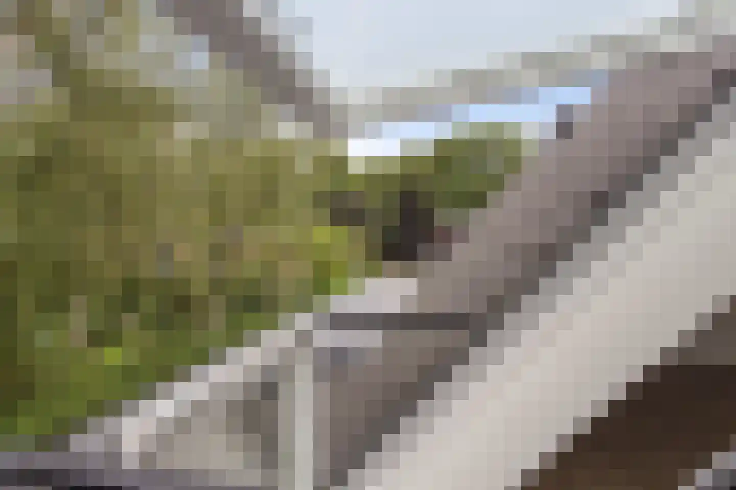 Herenweg 83 c Warmond thumbnail 17