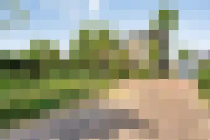 Herenweg 88 in Warmond