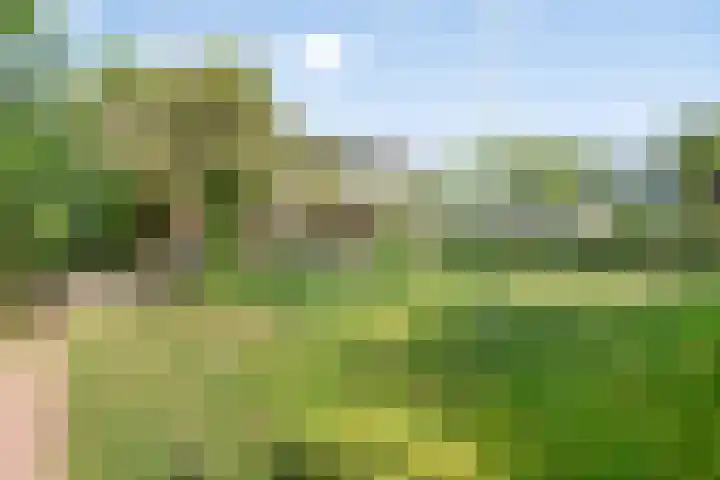 Herenweg 88 Warmond thumbnail 55