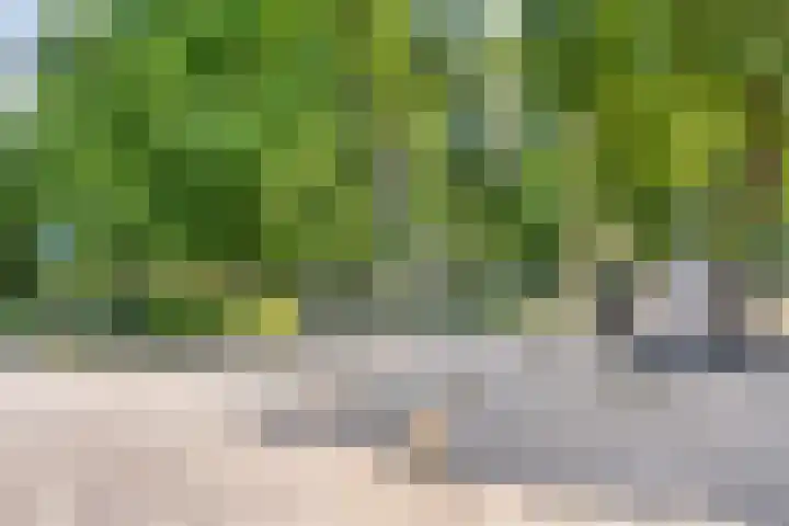Herenweg 88 Warmond thumbnail 64