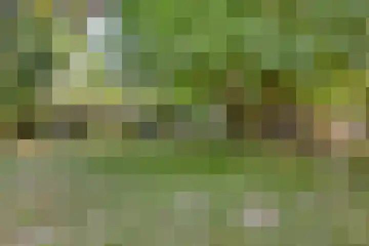 Herenweg 88 Warmond thumbnail 7