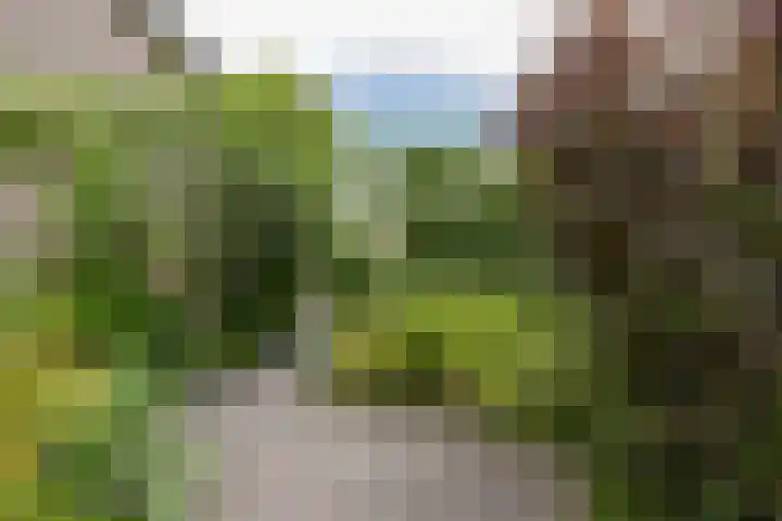 Herenweg 94 A Wilnis thumbnail 33