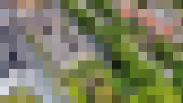Herenweg 94 A Wilnis thumbnail 35