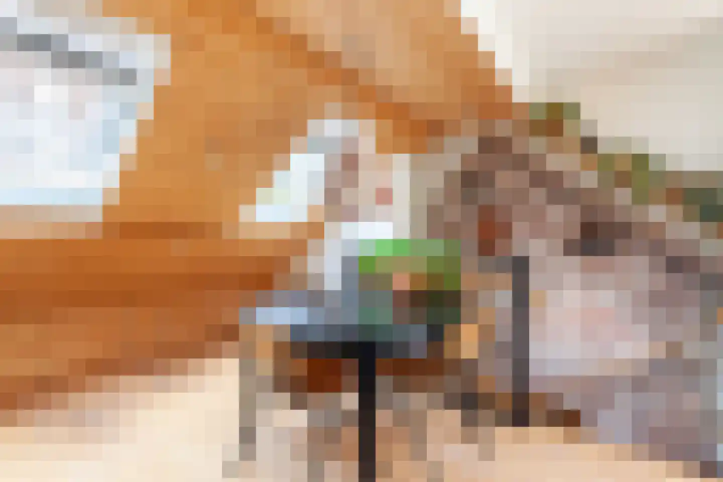 Herenweg 95 Utrecht thumbnail 50