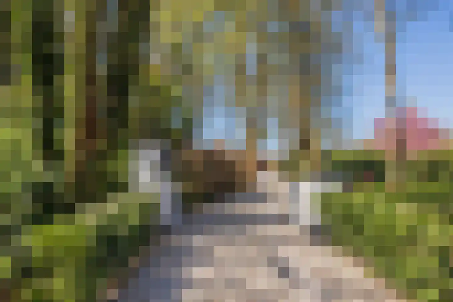 Herenweg 96 Warmond thumbnail 6