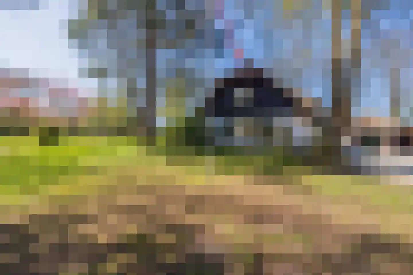 Herenweg 96 Warmond thumbnail 8