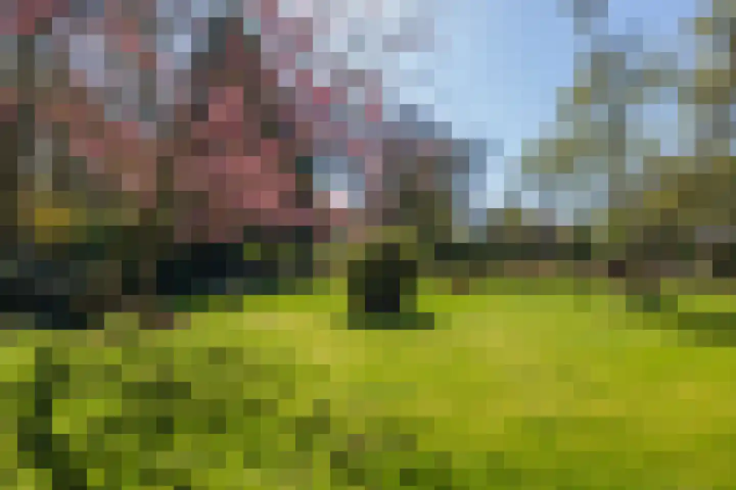 Herenweg 96 Warmond thumbnail 9