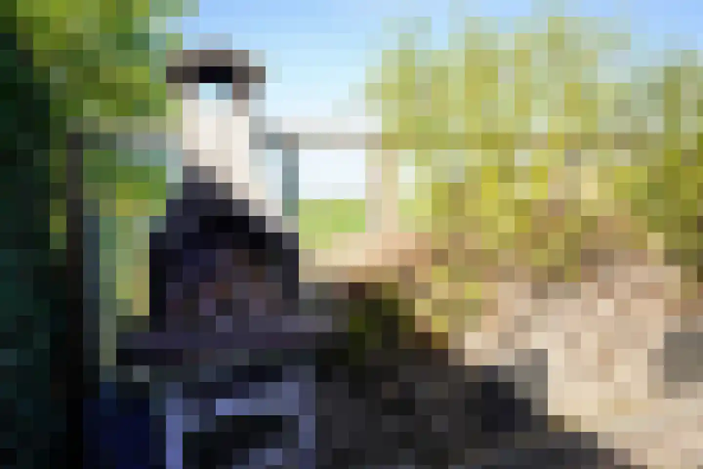 Herenweg Noord 5 Aardenburg thumbnail 33