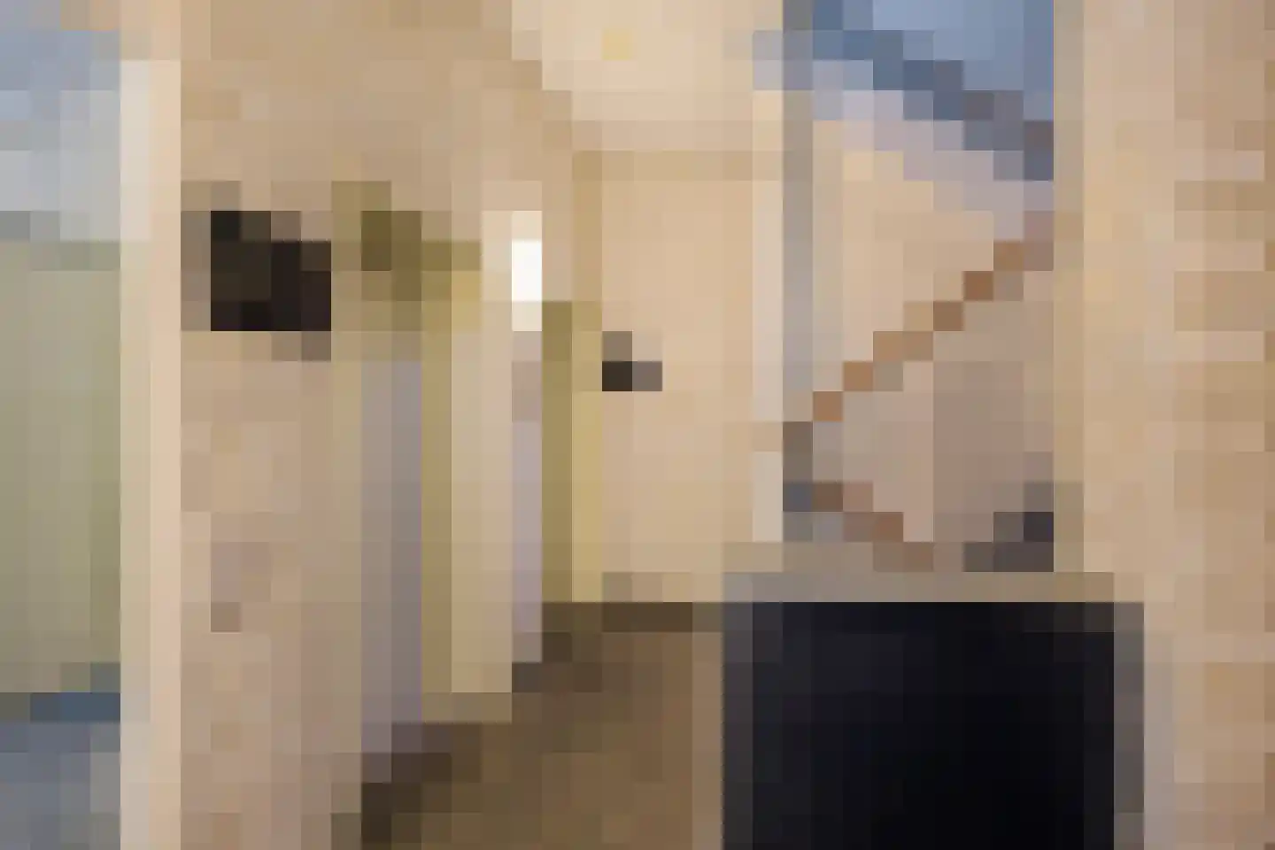 Hereplein 15 Groningen thumbnail 10