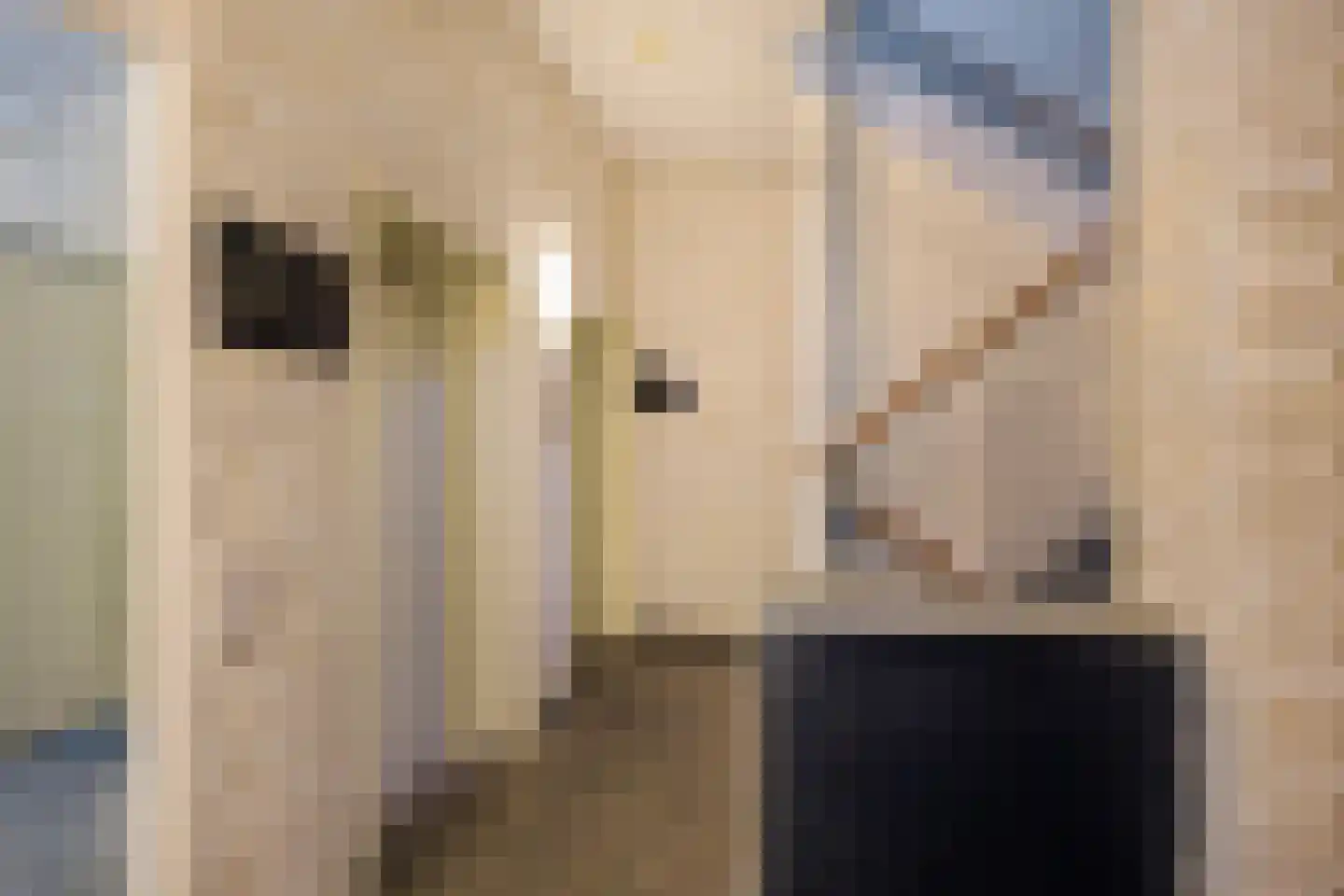 Hereplein 15 Groningen thumbnail 10
