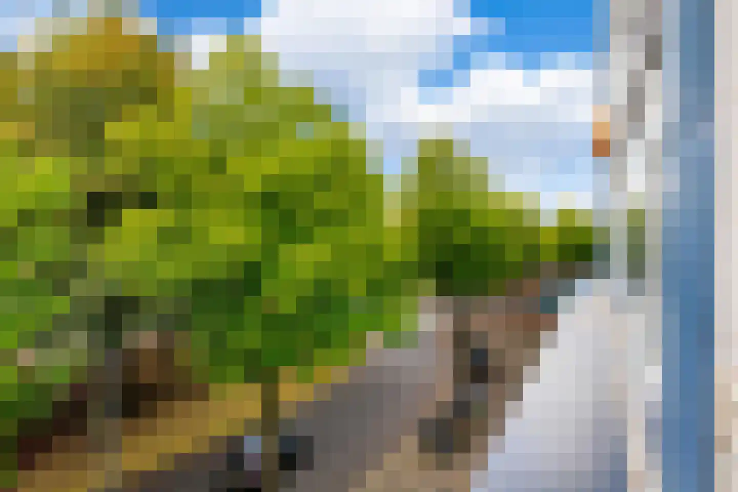 Hereplein 15 Groningen thumbnail 26