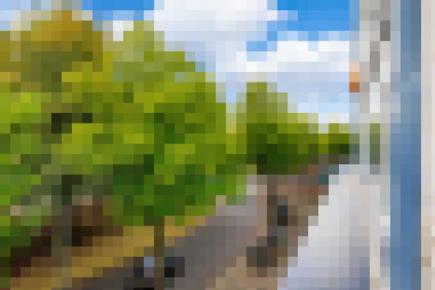 Hereplein 15 Groningen thumbnail 5
