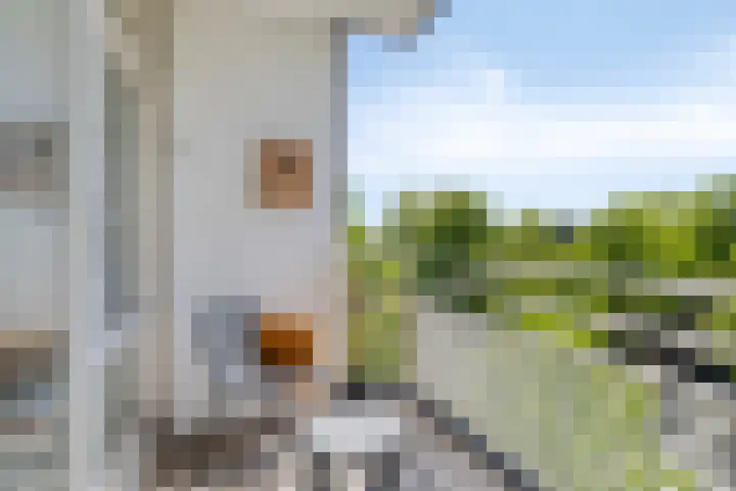 Hereplein 23 Groningen thumbnail 11