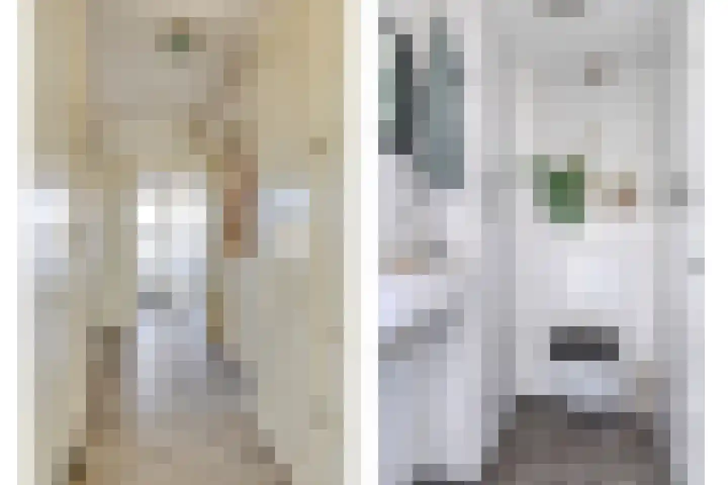 Hereplein 23 Groningen thumbnail 18