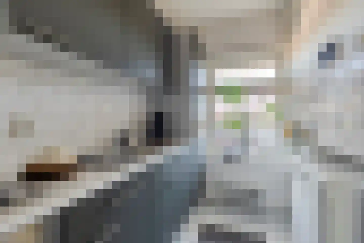 Hereplein 23 Groningen thumbnail 19