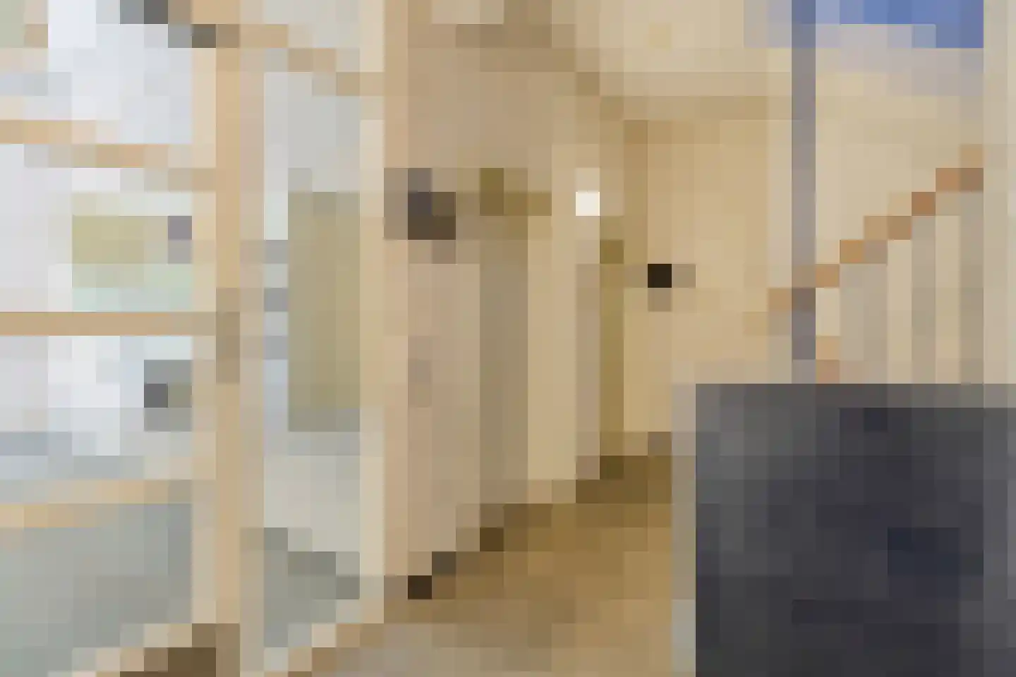 Hereplein 23 Groningen thumbnail 25