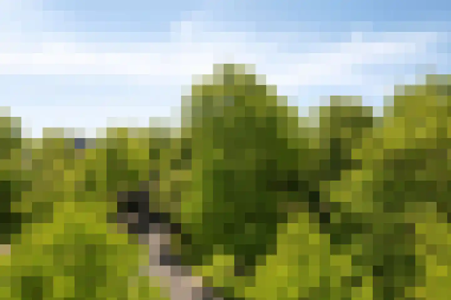 Hereplein 23 Groningen thumbnail 35