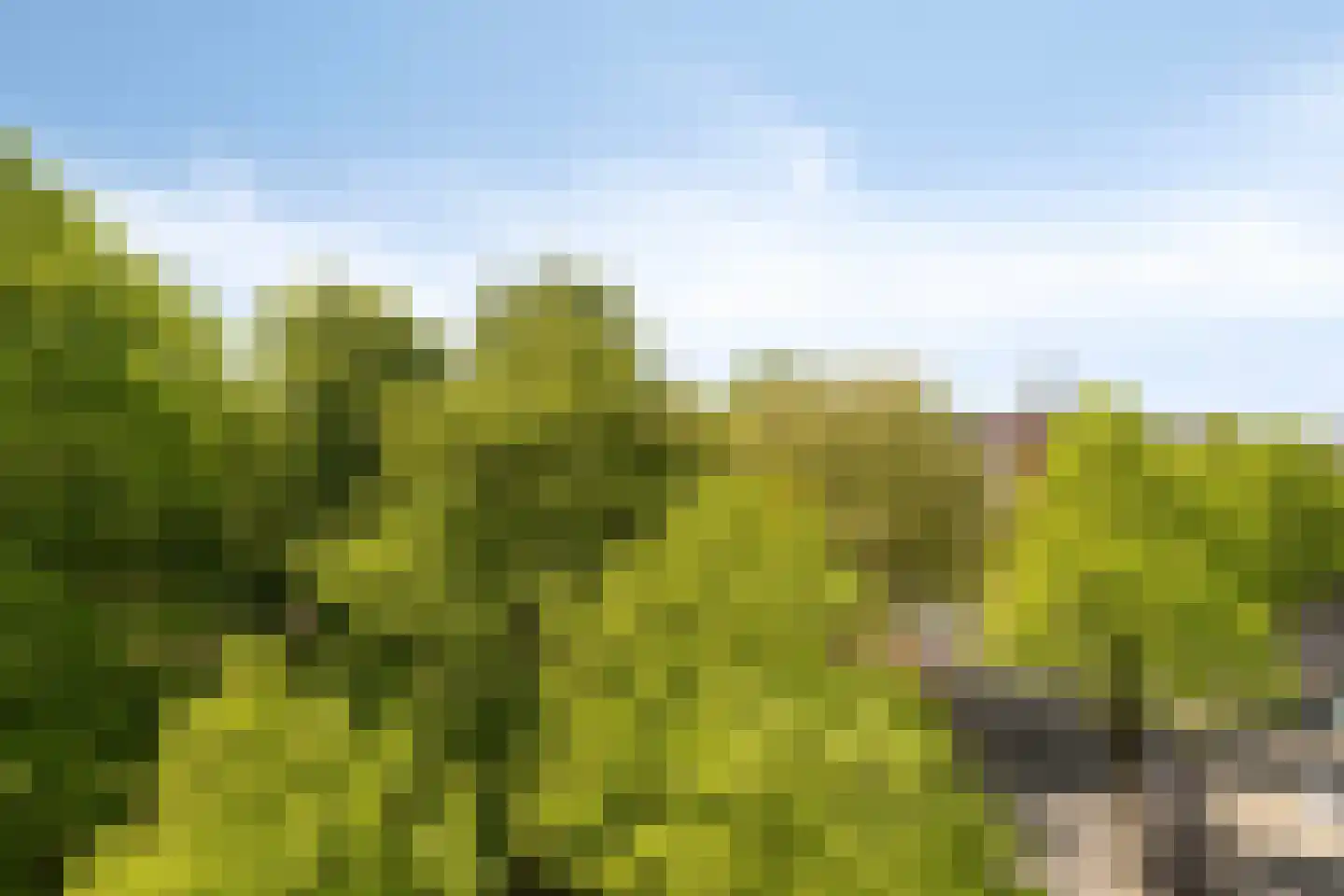 Hereplein 23 Groningen thumbnail 36