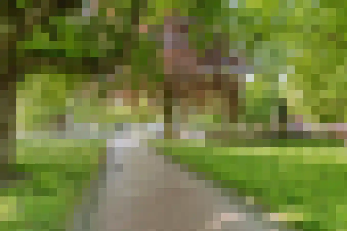 Hereplein 23 Groningen thumbnail 37