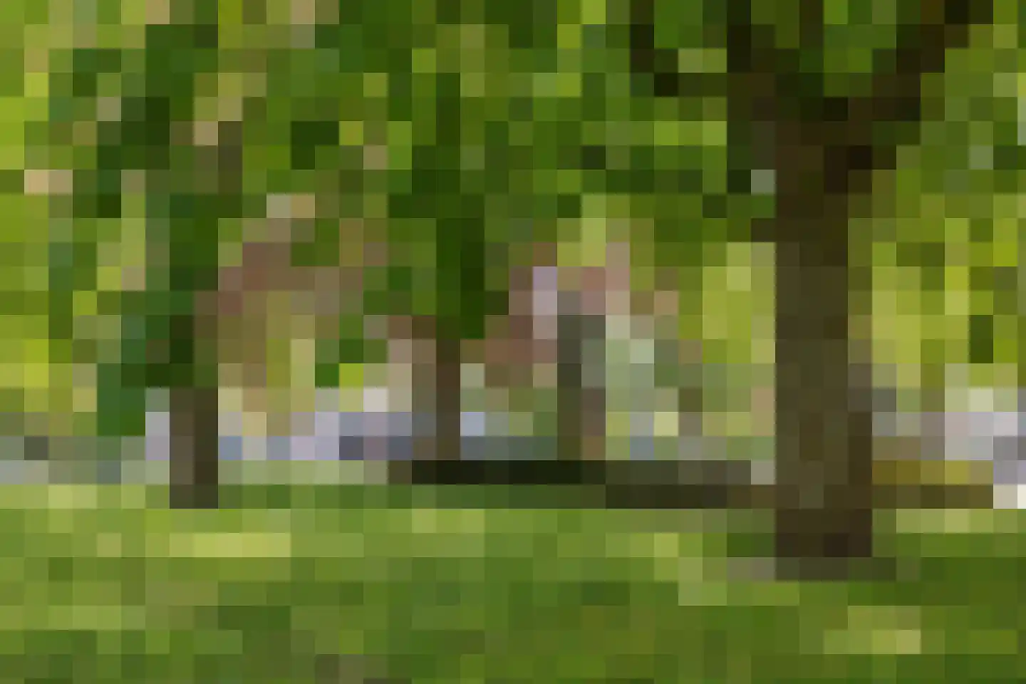 Hereplein 23 Groningen thumbnail 40