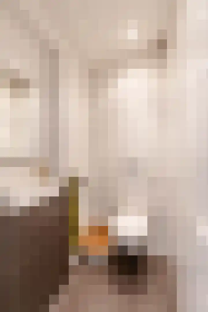 Hereplein 29 Groningen thumbnail 22