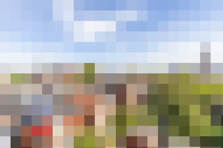 Hereplein 29 Groningen thumbnail 25