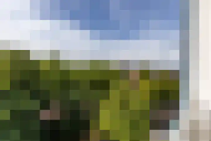 Hereplein 29 Groningen thumbnail 26