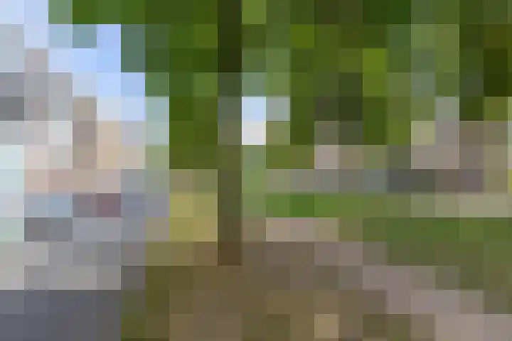 Hereplein 29 Groningen thumbnail 29