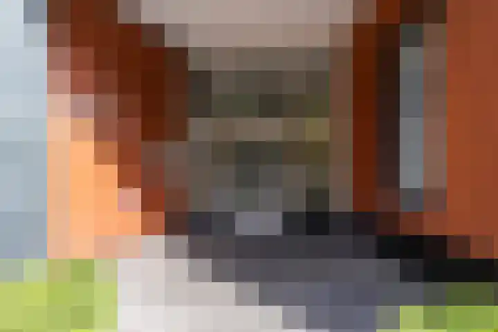 Hereplein 29 Groningen thumbnail 5