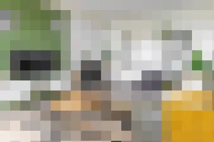 Hereplein 34 Groningen thumbnail 11