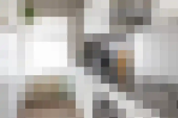 Hereplein 34 Groningen thumbnail 17