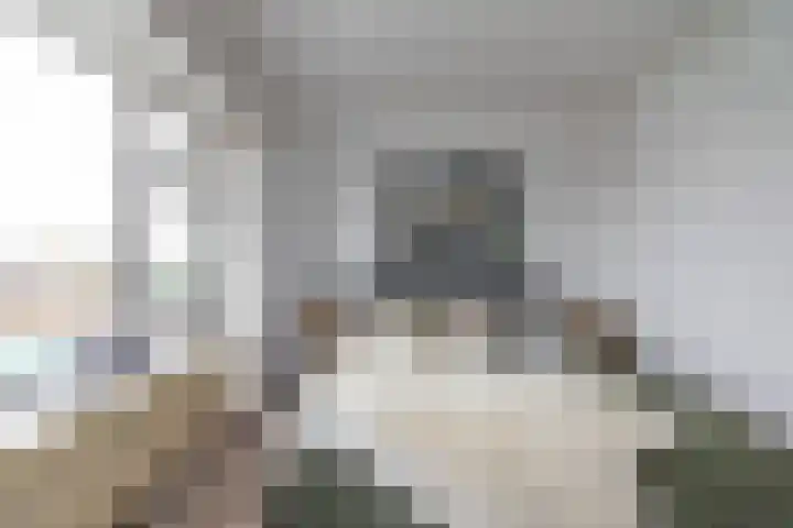 Hereplein 34 Groningen thumbnail 18