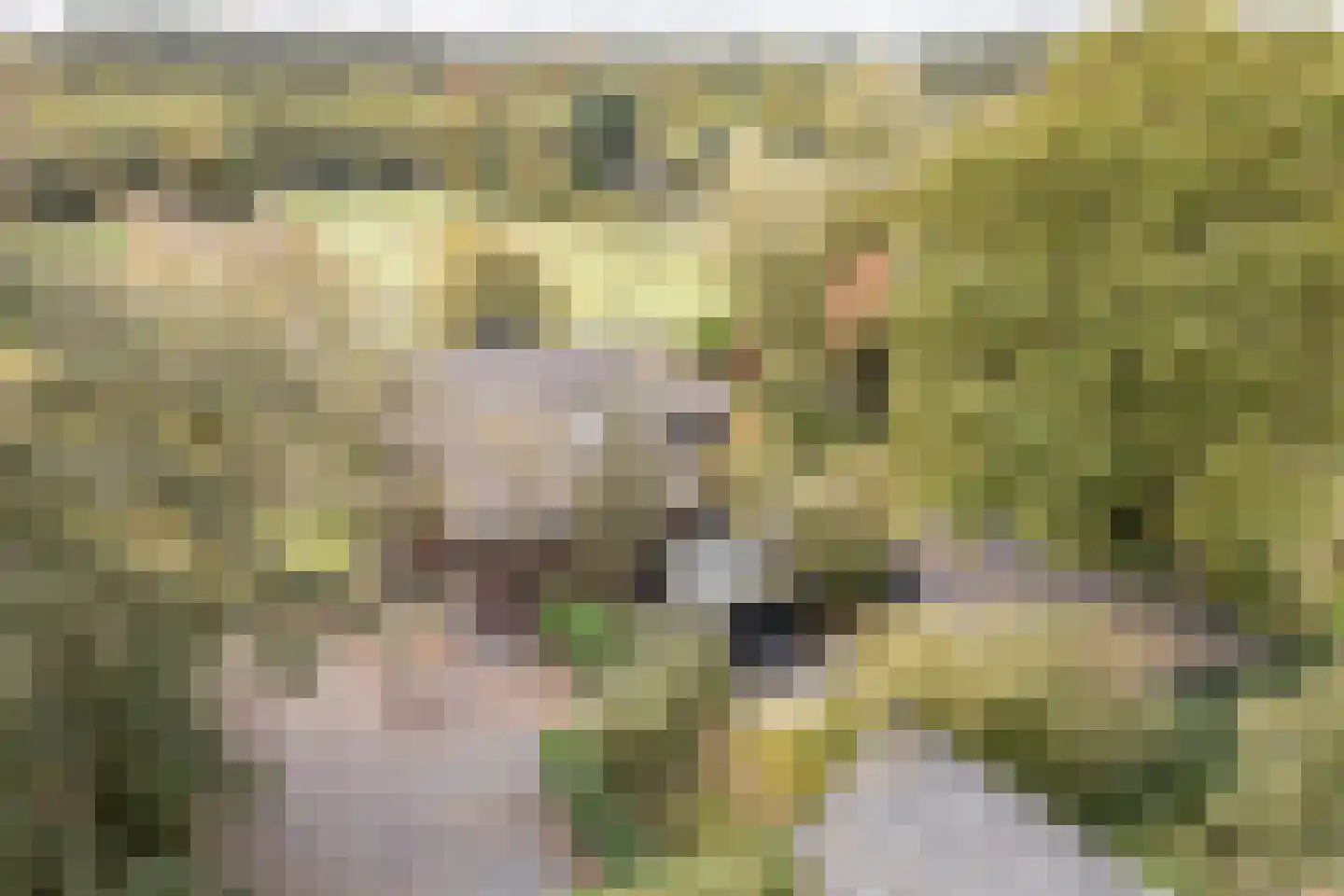Hereplein 34 Groningen thumbnail 24