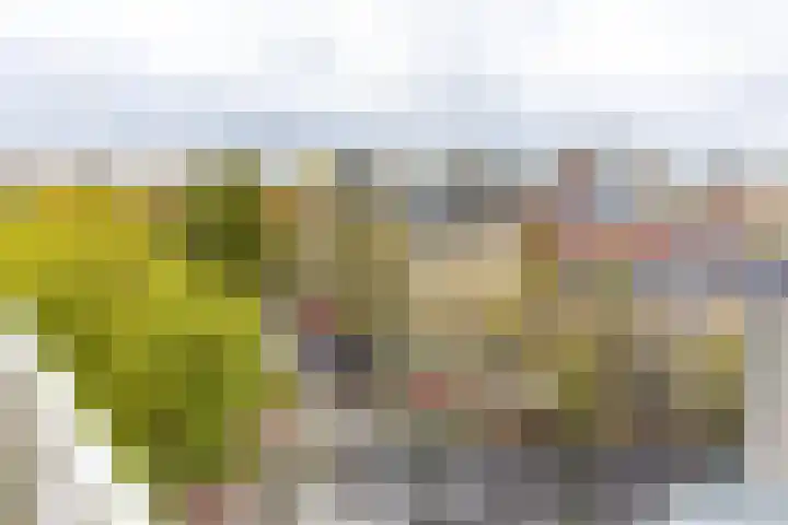 Hereplein 34 Groningen thumbnail 29