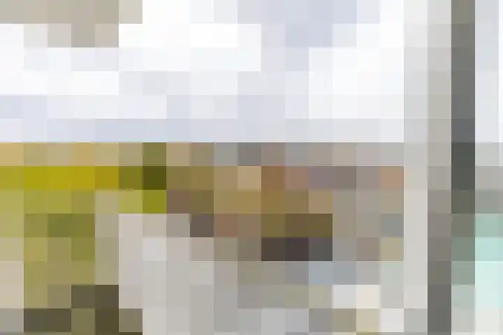 Hereplein 34 Groningen thumbnail 30
