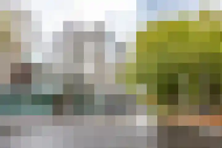 Hereplein 34 Groningen thumbnail 32