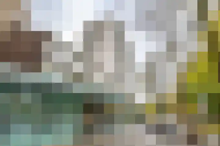 Hereplein 34 Groningen thumbnail 33