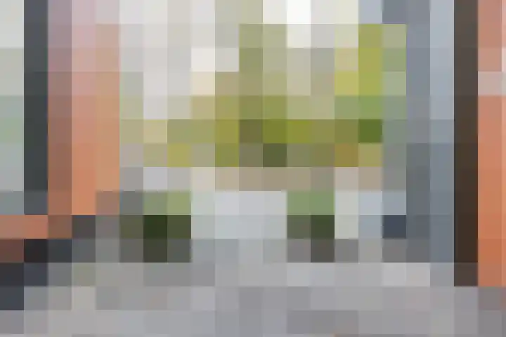 Hereplein 34 Groningen thumbnail 34