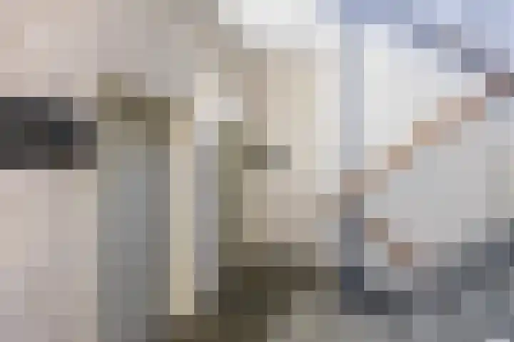 Hereplein 34 Groningen thumbnail 35