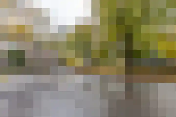Hereplein 34 Groningen thumbnail 38