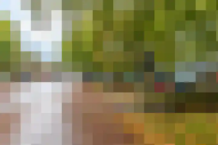 Hereplein 34 Groningen thumbnail 39