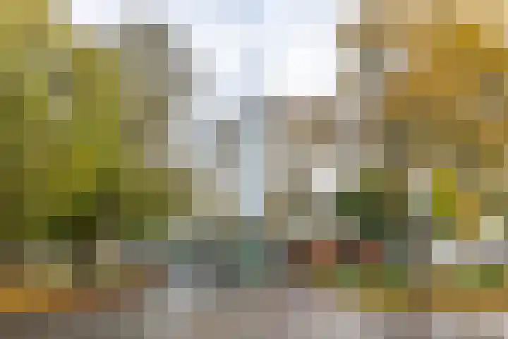 Hereplein 34 Groningen thumbnail 4