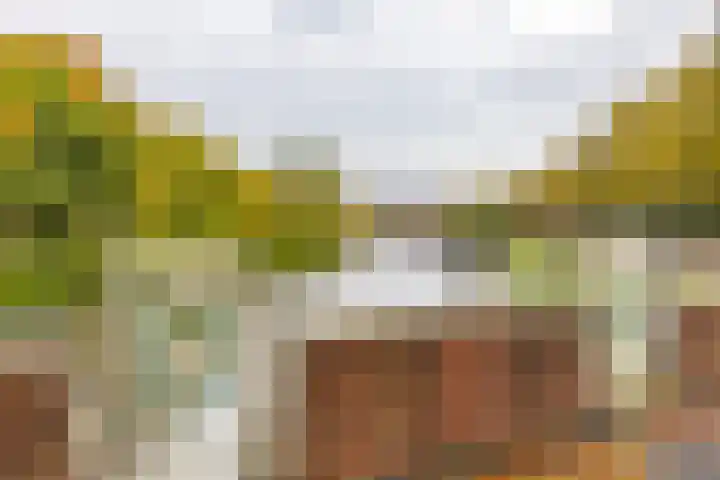 Hereplein 34 Groningen thumbnail 41