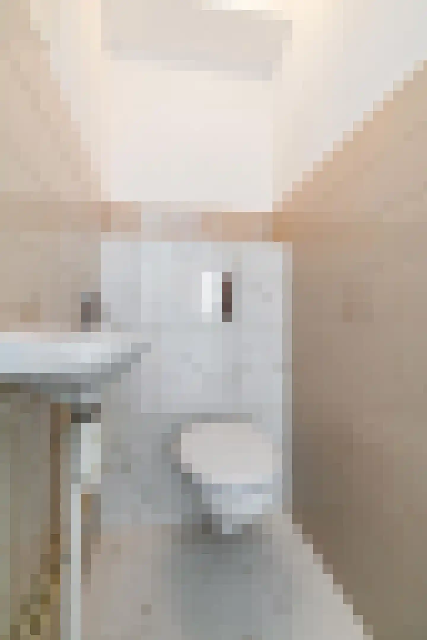 Herepoortenmolendrift 12 Groningen thumbnail 13