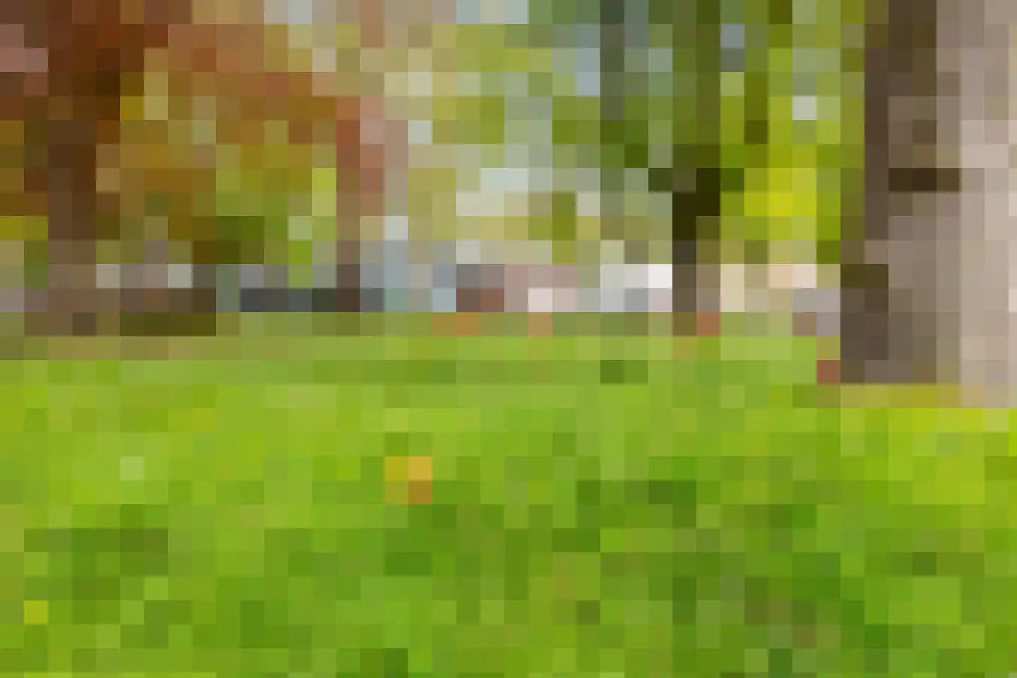Herepoortenmolendrift 12 Groningen thumbnail 27