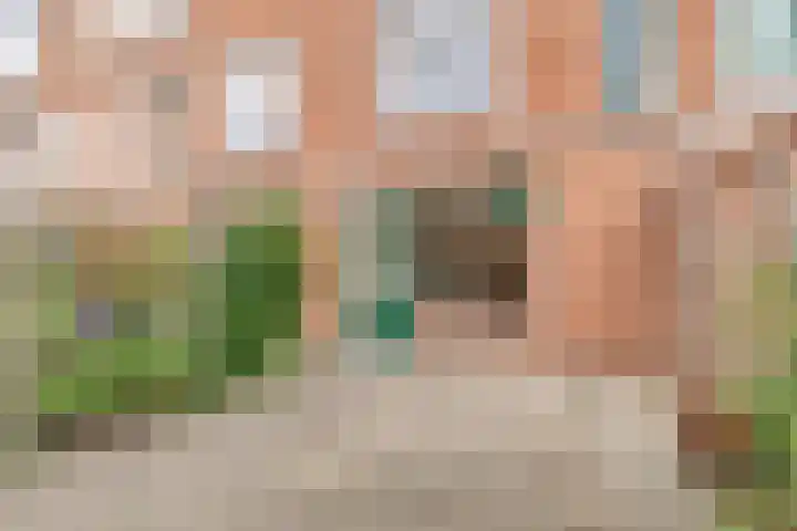 Herepoortenmolendrift 22 Groningen