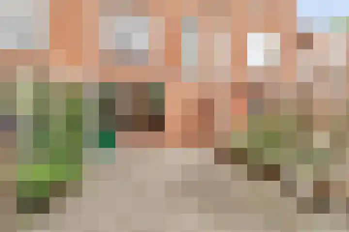Herepoortenmolendrift 22 Groningen thumbnail 18
