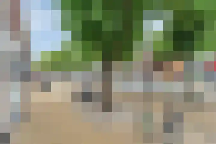 Herepoortenmolendrift 22 Groningen thumbnail 34