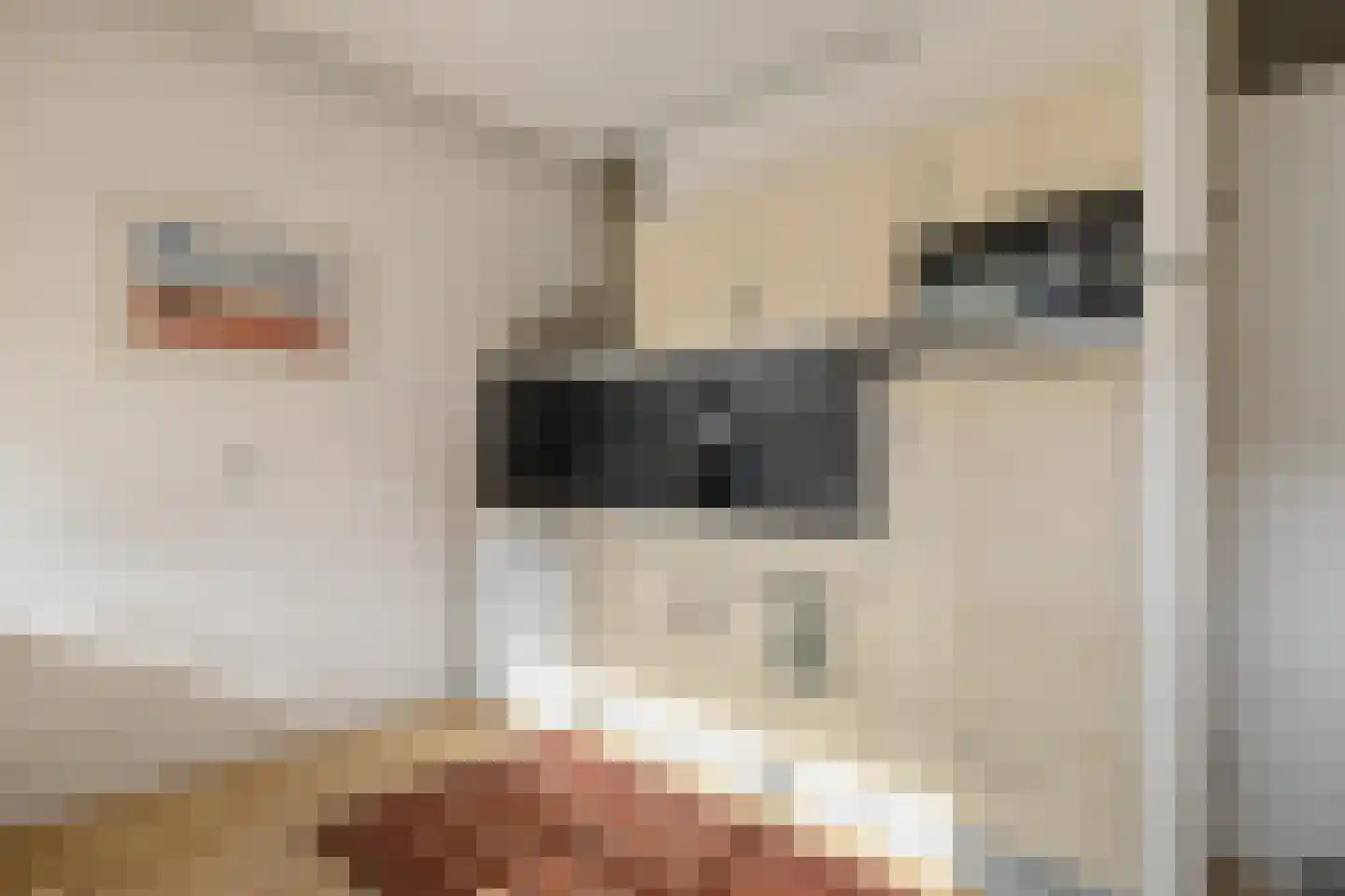 Herepoortenmolendrift 46 Groningen thumbnail 12