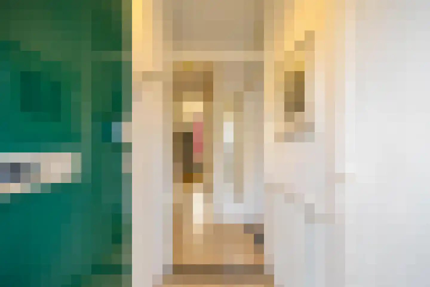 Herepoortenmolendrift 46 Groningen thumbnail 4